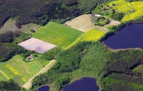 Maastik