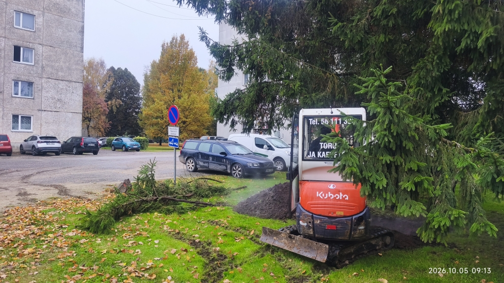 Lekkekoht Võhmas